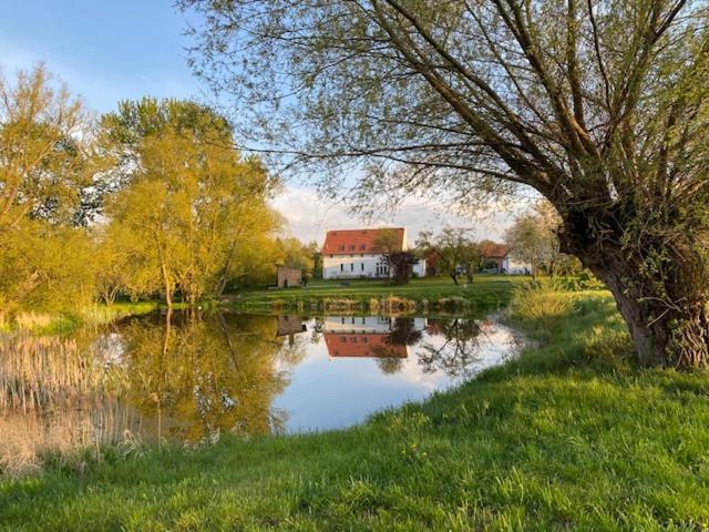 Traumhaftes Luxus-Ferienhaus Warnkenhagen  ภายนอก รูปภาพ